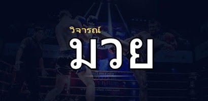 วิจารณ์มวย